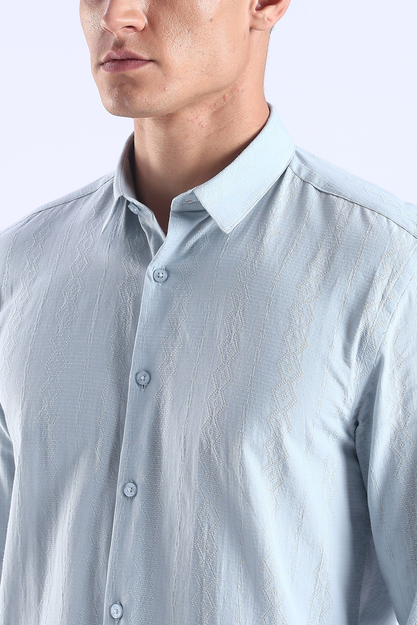 Regular Fit Light Blue Textured Casual Shirt