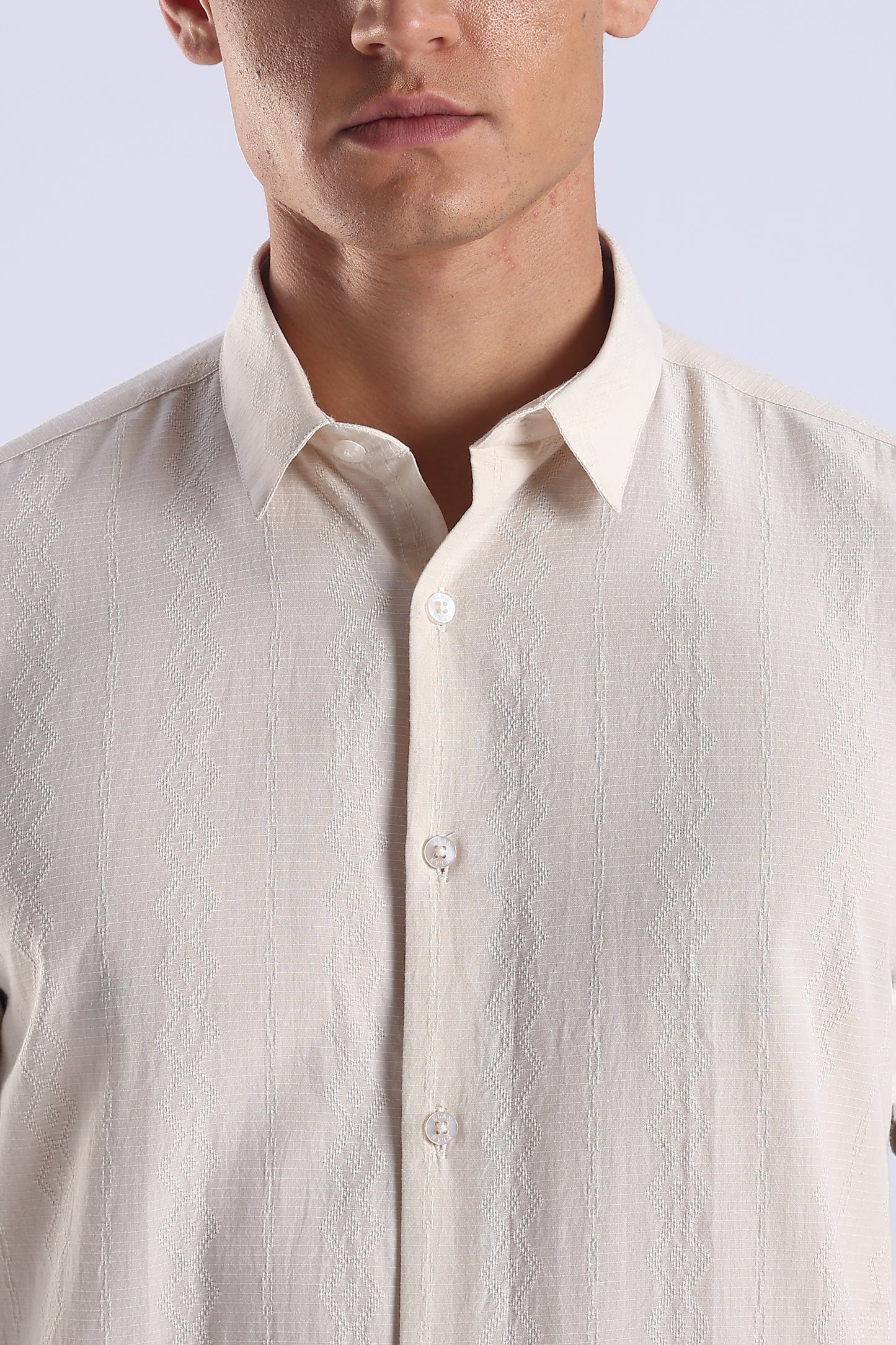 Regular Fit Beige Textured Cotton Shirt