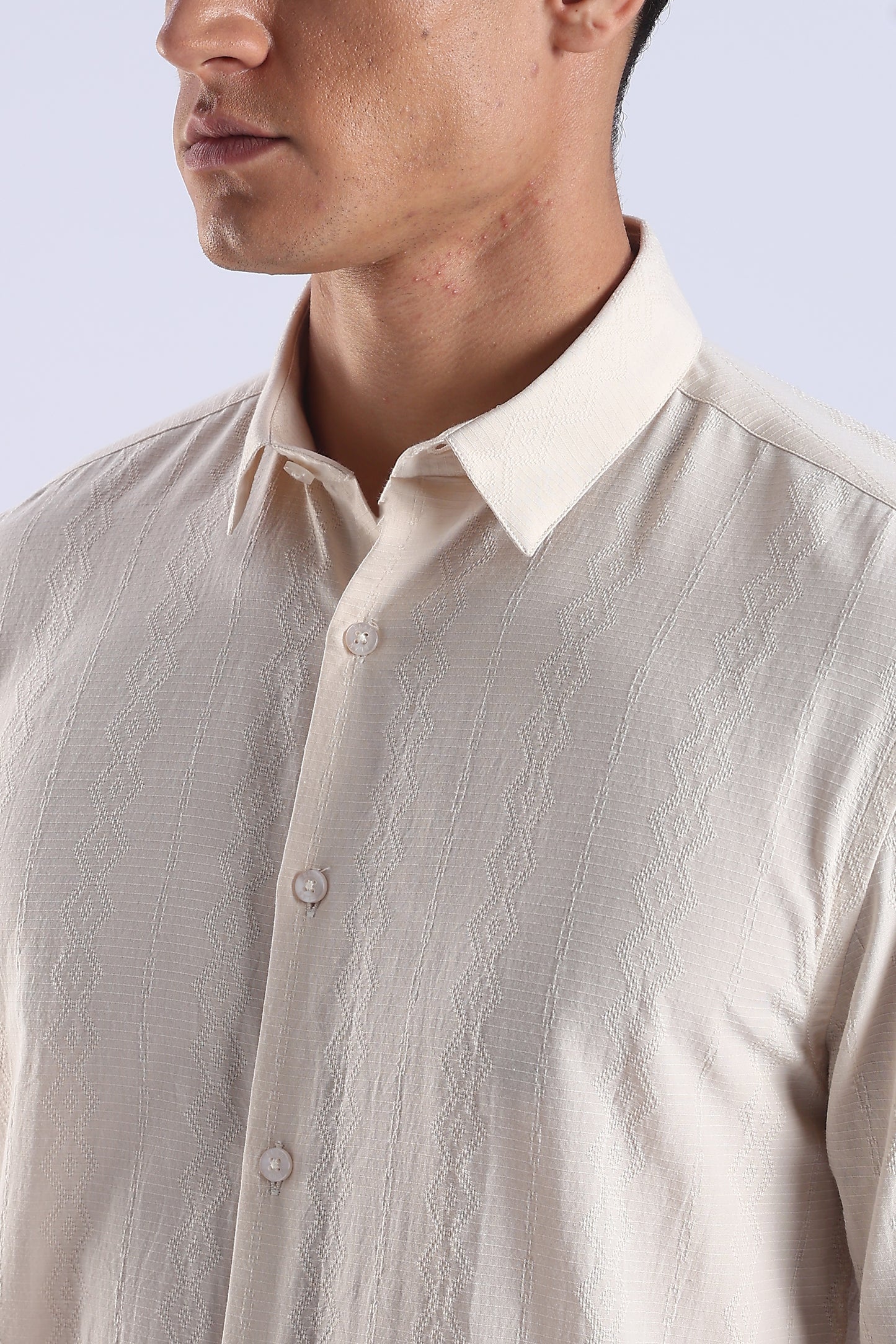 Regular Fit Beige Textured Cotton Shirt